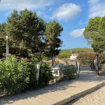 Strand Ibiza Cala Nova