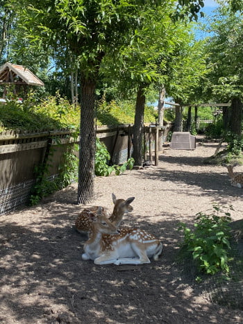 Boerderij de Meerzicht bij het pannenkoekenhuis met speeltuin