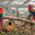 overdekt peuter uitje